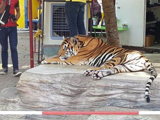 der war echt - aber man beachte das Klimageraet im Hintergrund!