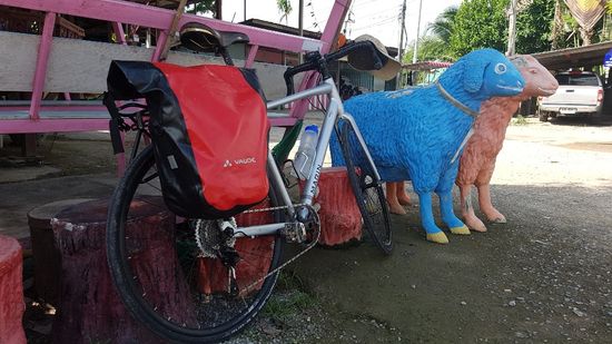 Das blaue Schaff wurde auch mein Freund - stand einfach am Strassenrad wo ich meine Wasservorräte aufgefüllt habe