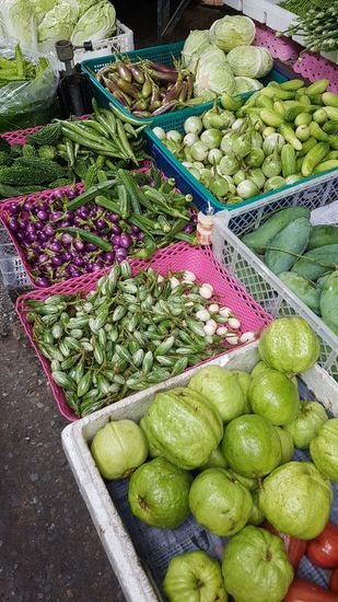 Im Hintergrund mini Aubergingen, wobei diese nicht größer werden