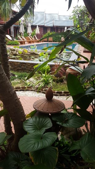 Alles im Thaistiel gehalten und ein ausgezeichnetes Fruehstueck