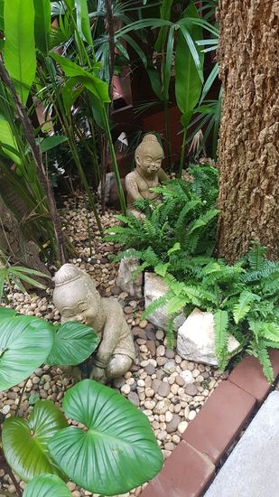 ... in jeder Ecke ein anderes Motiv - Koi-Teich incl.