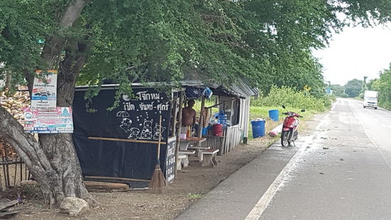 Hier lachen die Schweine noch auf der anderen Seite wird serviert - typisches Strassenrestaurant