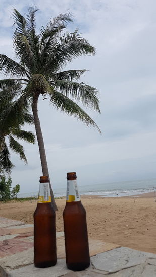 Das Radfahren kann so schoen schein!