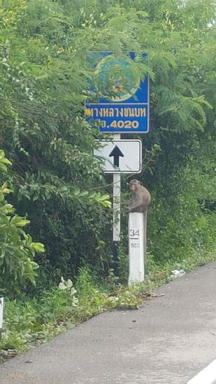 Ich nannte ihn Charly - was gugst Du?