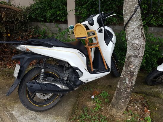 Sicherheit geht vor - somit werden die kleinsten sicher transportiert