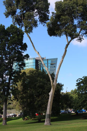 ...ob der Architekt diese Perspektive eingeplant hat?