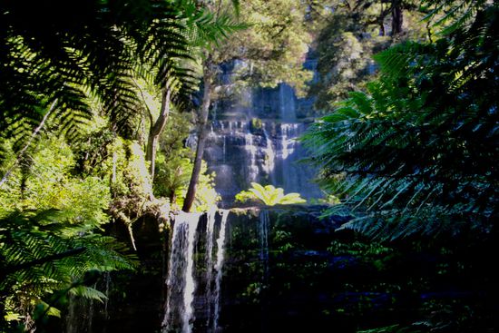 Die "Russel"- Falls
(Für viele die Schönsten in ganz Tasmanien)