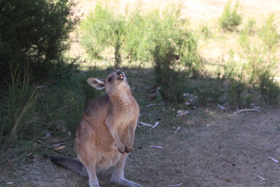 Oh Mannomannomann, hol mich doch der Teufel...