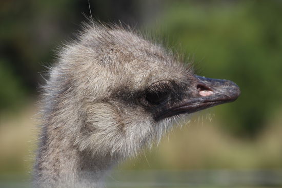 So ein kleiner Spinner!