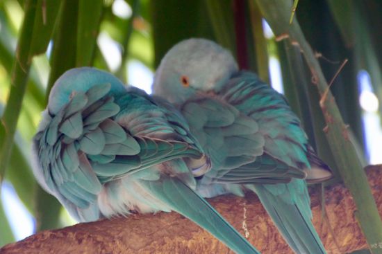 Wer stört denn schon wieder, kann man denn nicht mal in Ruhe sein Nickerchen machen?