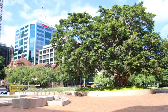 Sehr viel Grün in der ganzen Stadt...