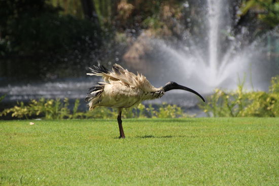Ich bin heute garnicht dran mit duschen