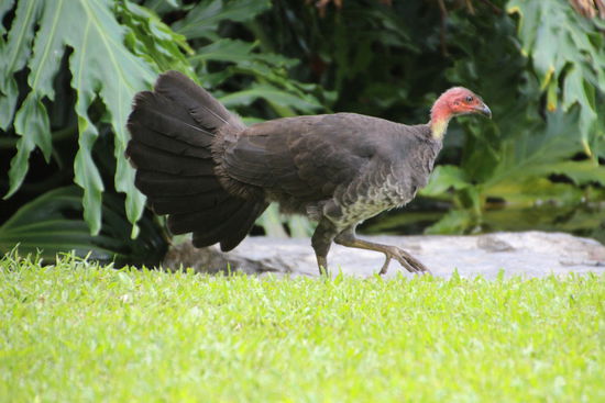 Jetzt aber schnell, sonst macht der mich auch noch nass!