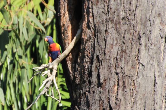 Geh' mir doch wech, immer diese Altbauwohnungen!