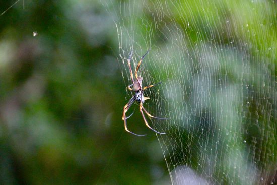 Freier Eintritt - sooon Mist, und ich wollte gerade abkassieren.