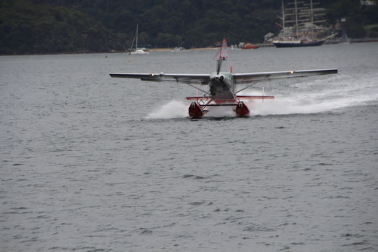 Gelandet, auf dem Weg zur Pier