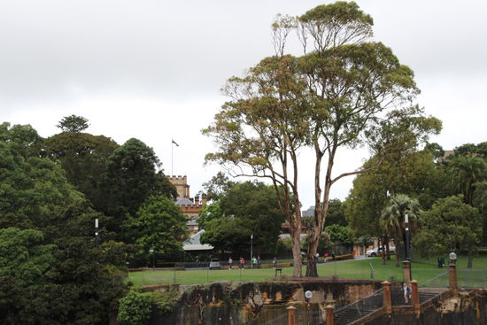 Royal Botanic Gardens (gesehen vom Opera House)