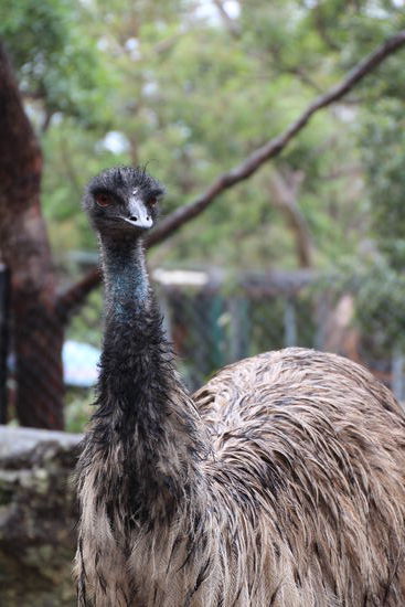 This Brother is watching you!