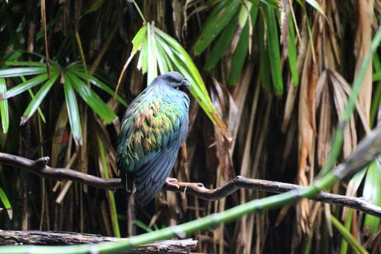 ...na, da kann ich aber locker mithalten!