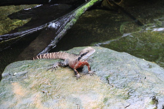Ja meinst du kriechen macht mehr Spaß?