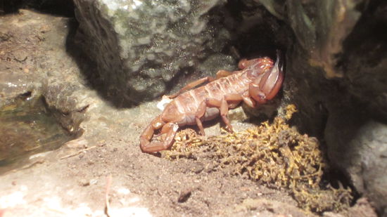 Mennoooo, ich tu doch nichts, will doch nur spielen.