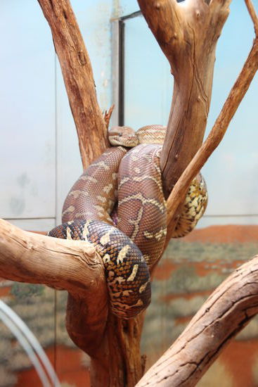 ...immerhin hast du noch Beine!