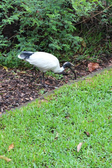 Na sowas, da ist doch schon wieder ein Stein im Weg.
