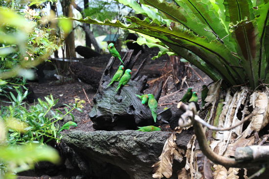 Die können uns doch mal, gemeinsam sind wir stark.