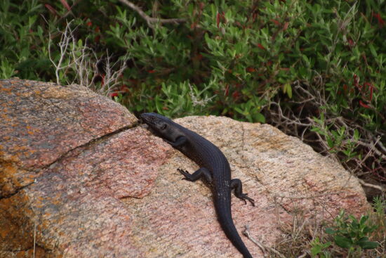 Ein schöner Platz zum Aufwärmen.