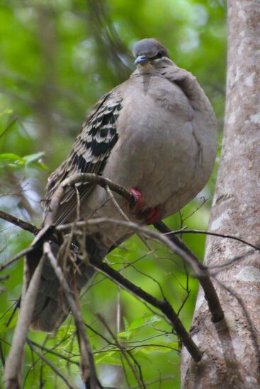 Na na, wer wird denn so herablassend schauen, wenn der Kerl am Boden ist!?