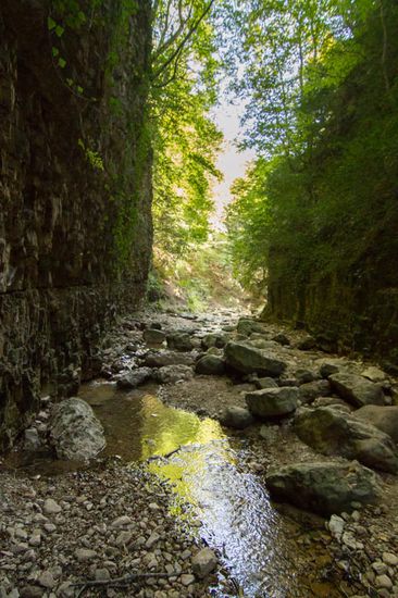 Hier kann man Krebse fangen...