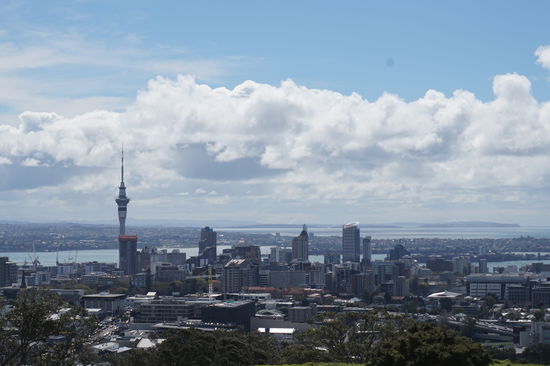 Aussicht über Auckland mit Blick auf den Skytower