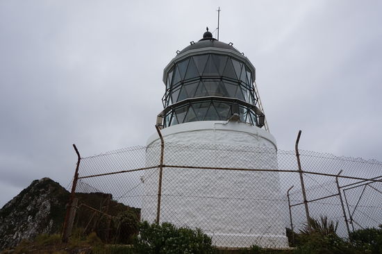 Leuchtturm am Nugget Point
