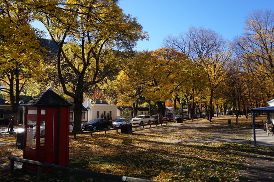 Die bunten Bäume machen es dann doch direkt noch einmal schöner