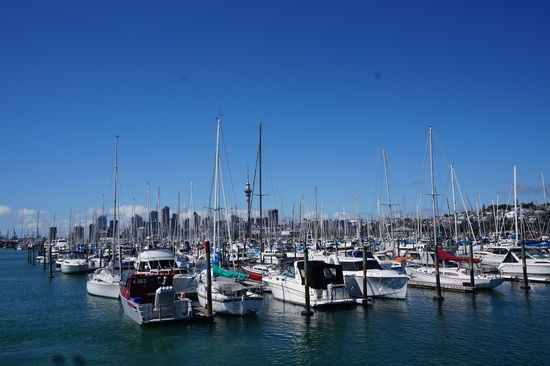 Aucklands Yachthafen