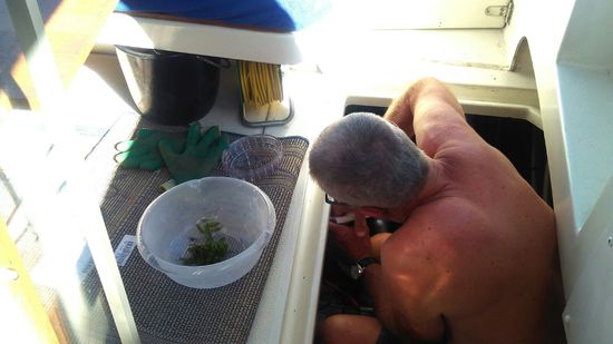 Kühlfilter Reinigung.