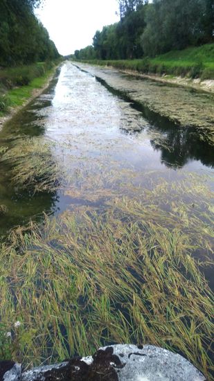 Da wollten wir abzweigen um zu übernachten.
Haben es nicht gemacht.