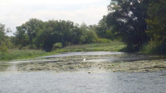 Auf dem Brandenburger Stadtkanal.
Sehr romanisch.
