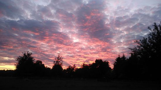 Wunderschöner Abend an der Havel.