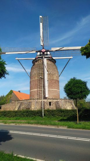 Eine holländische Windmühle