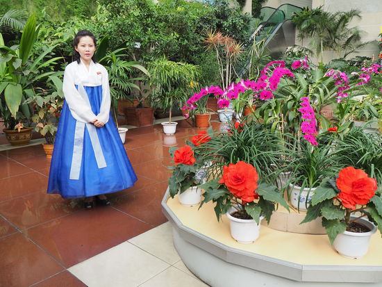 Blumenausstellung: Kimilsungia und Kimjongilia