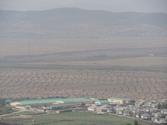 Erntezeit - selten eine so akkurate Heuballenanordnung gesehen