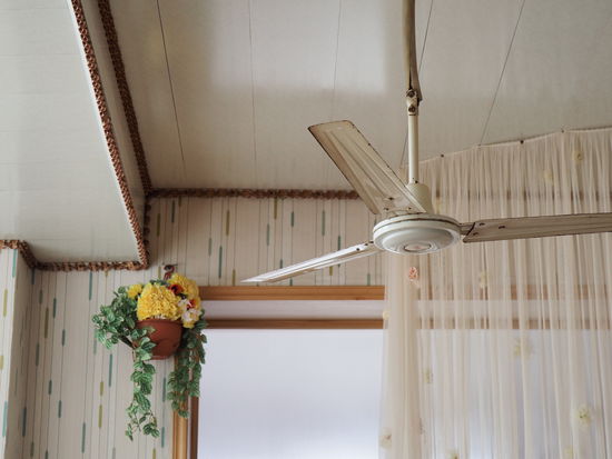 Sozialistischer Charme