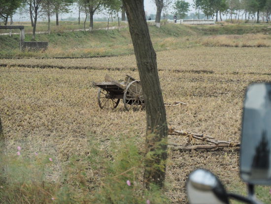 Selbstgebauter Holzpflug (unten rechts)
