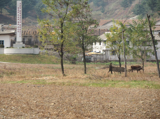 Schnappschuss während der Fahrt