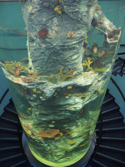 Aquarium im im Songdowon International Children's Camp