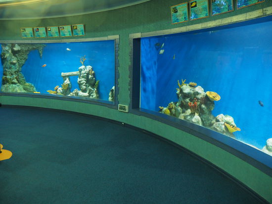Aquarium im im Songdowon International Children's Camp