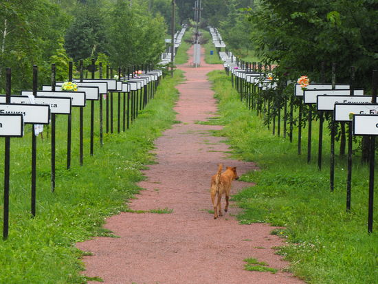 Alley of Memory and Hope