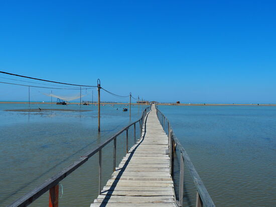 Nationalpark Divjaka-Karavasta