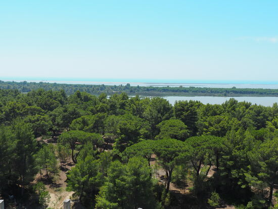 Blick über den Nationalpark Divjaka-Karavasta